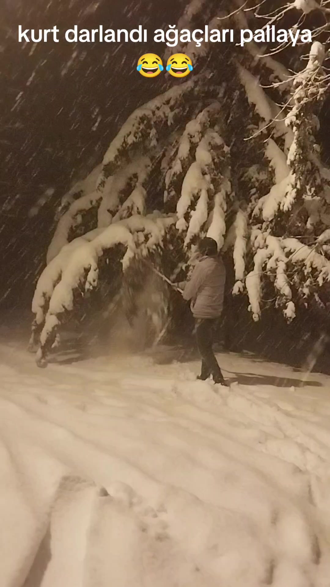 @H&uuml;seyin Doğan