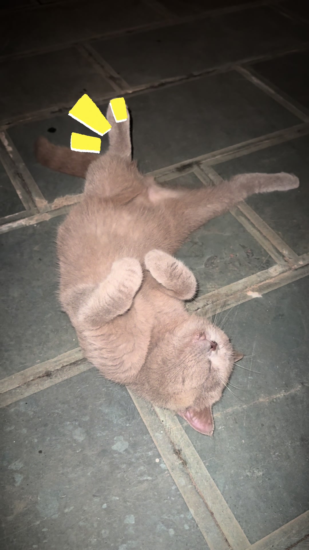 @Nguyễn T&ugrave;ng Sơn