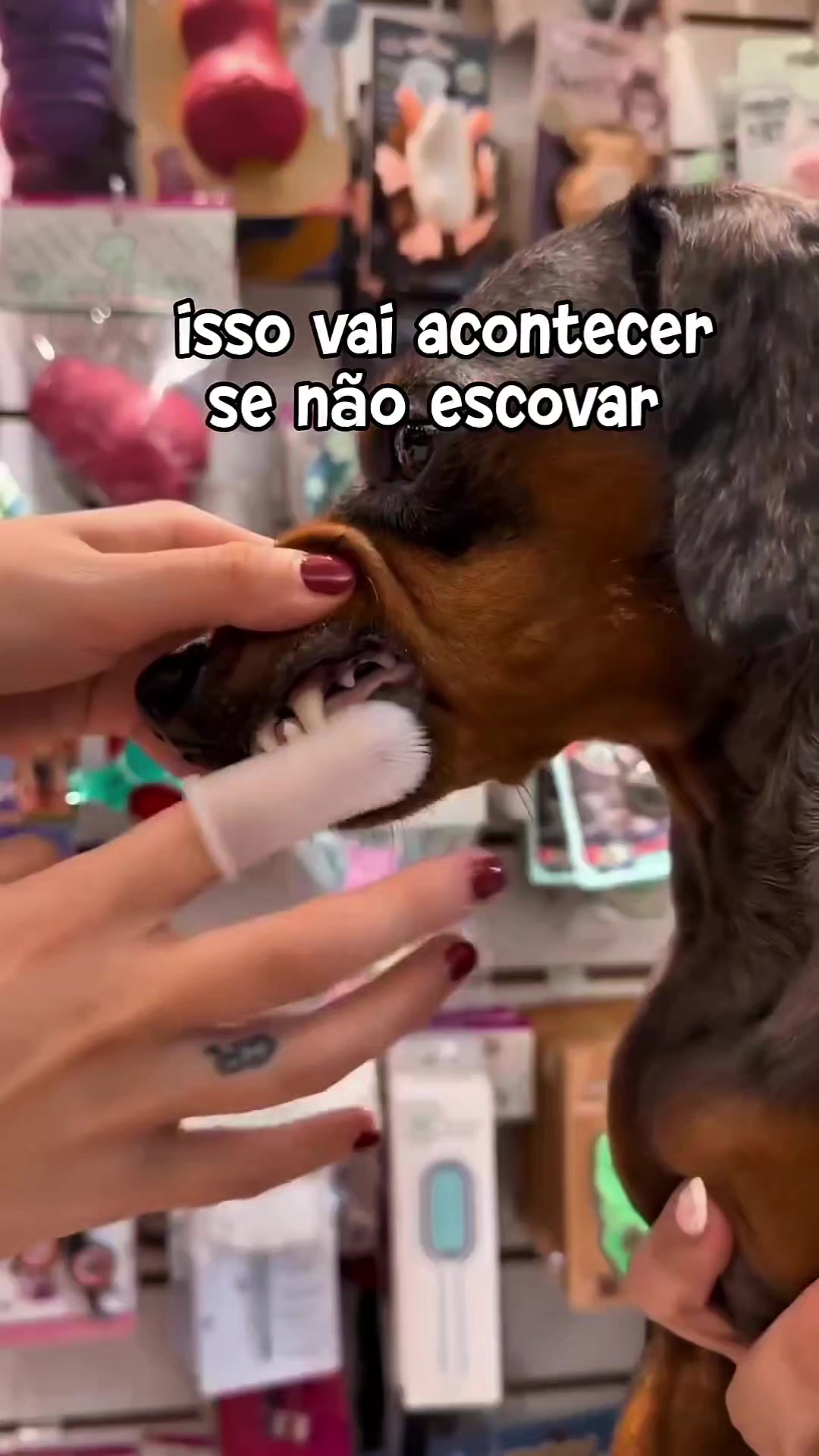 @Explore Aquii 🐾🐾✨️