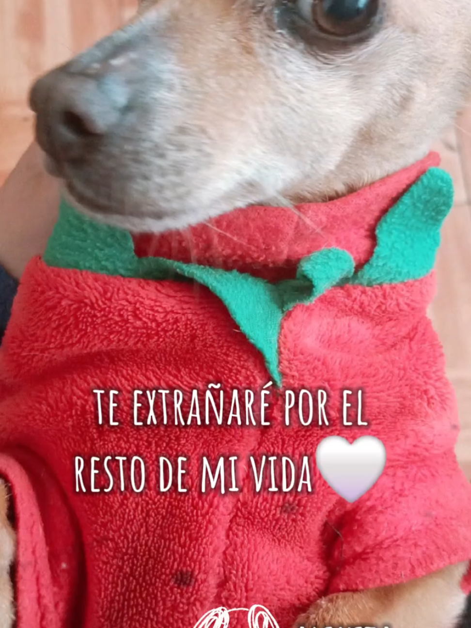 @Ana Cortés