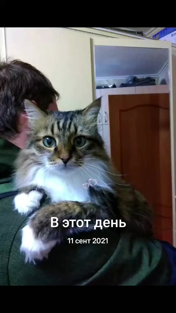 @Шагида888