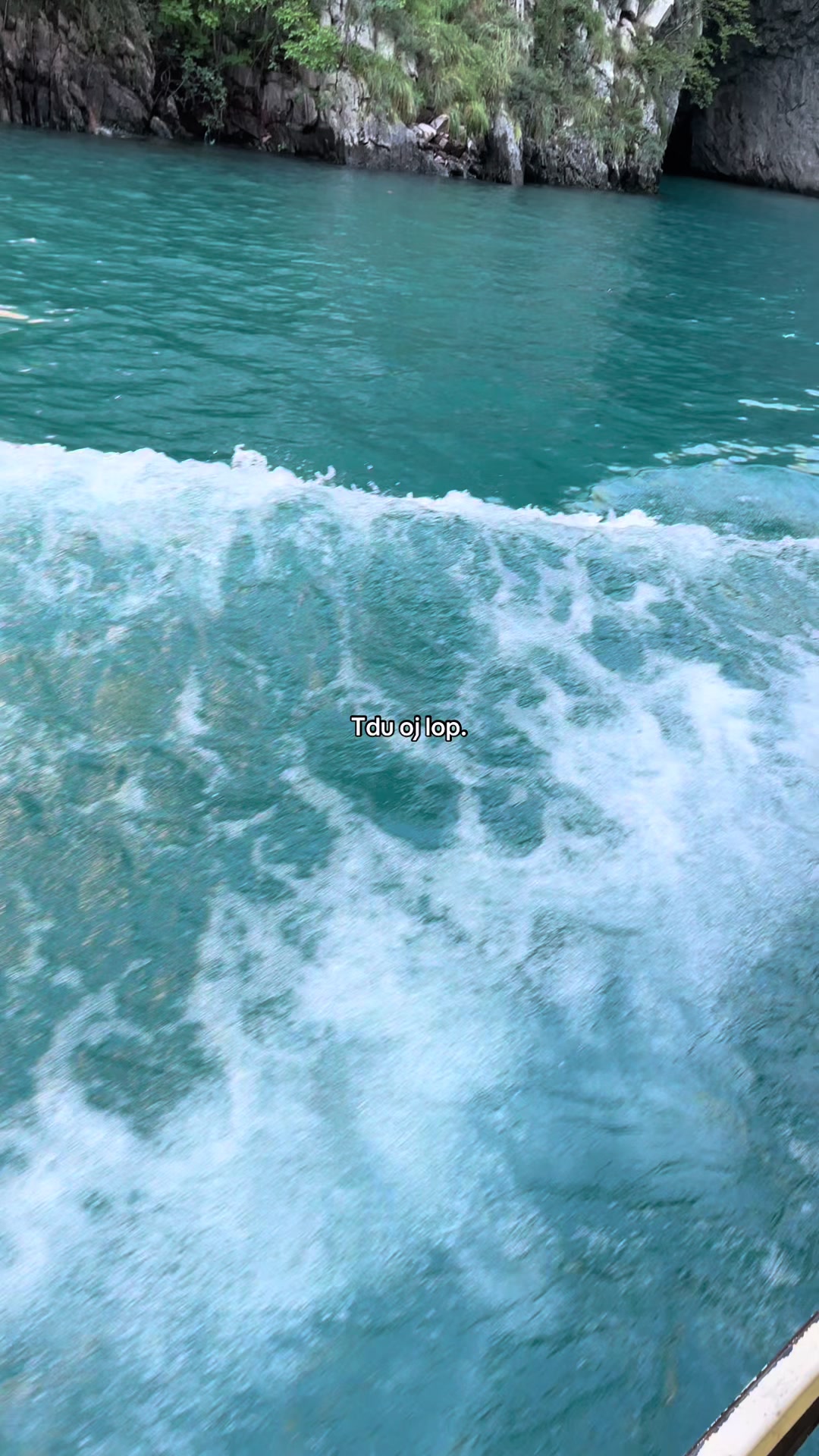 @EriYouKnow🦈