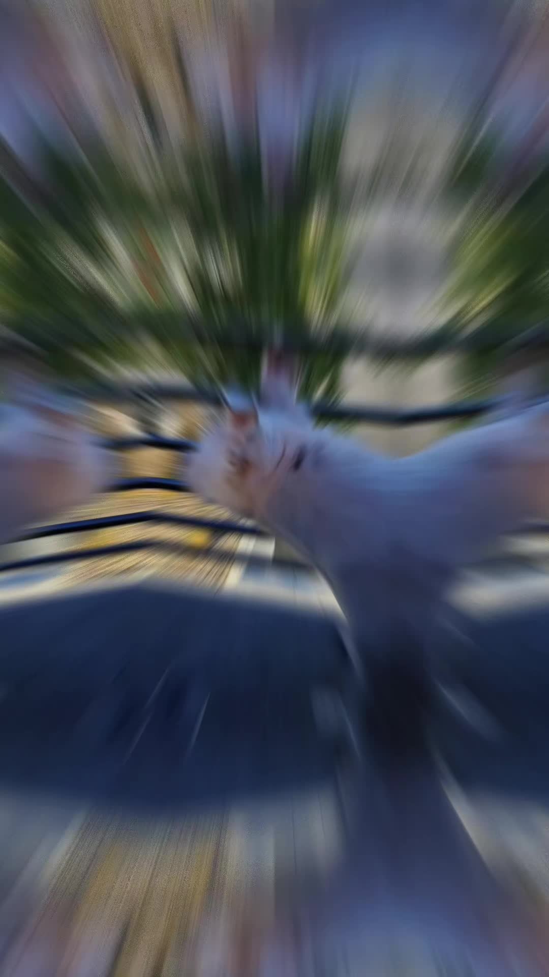 @Captain Monty