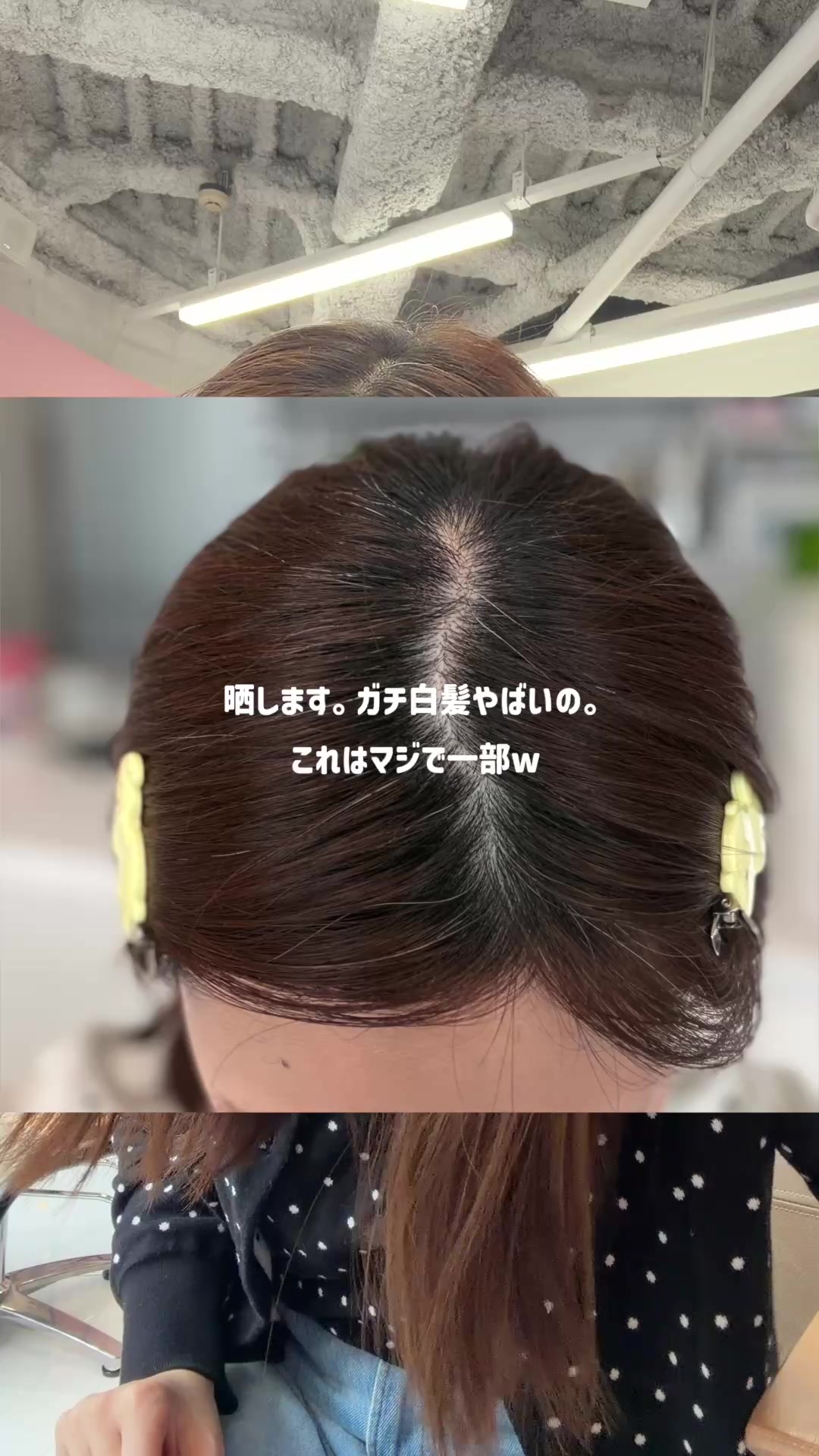 @紫帆 / shiho channel
