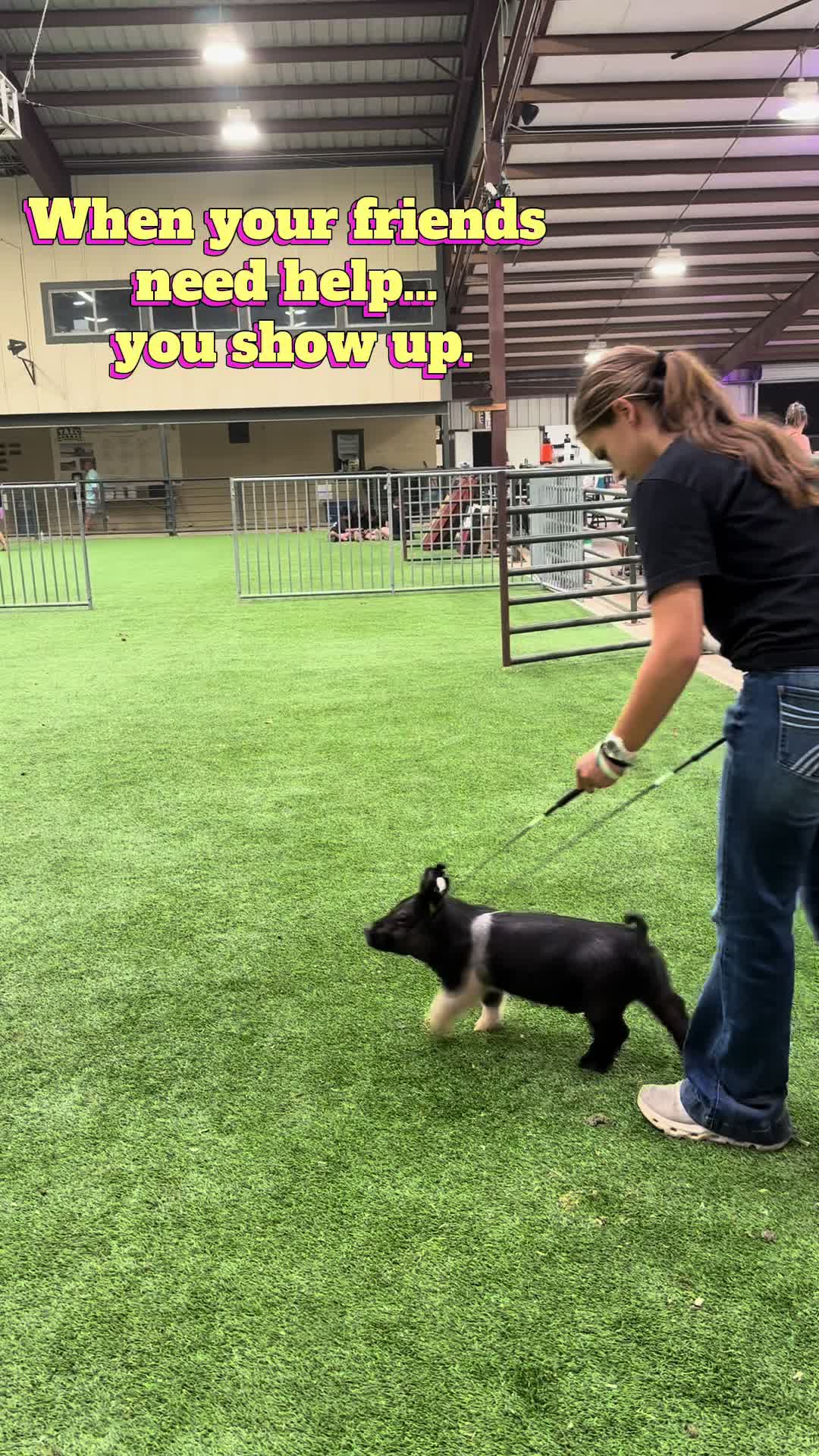 @teambegnaud