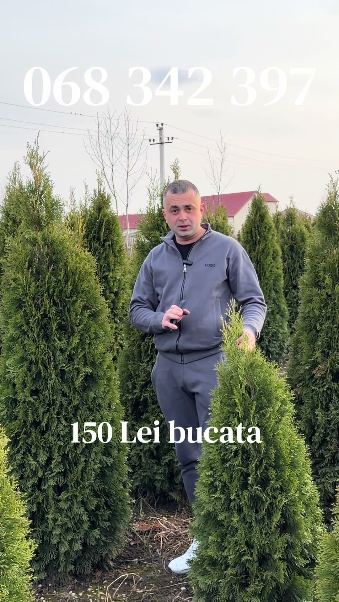 @Agro Terra
