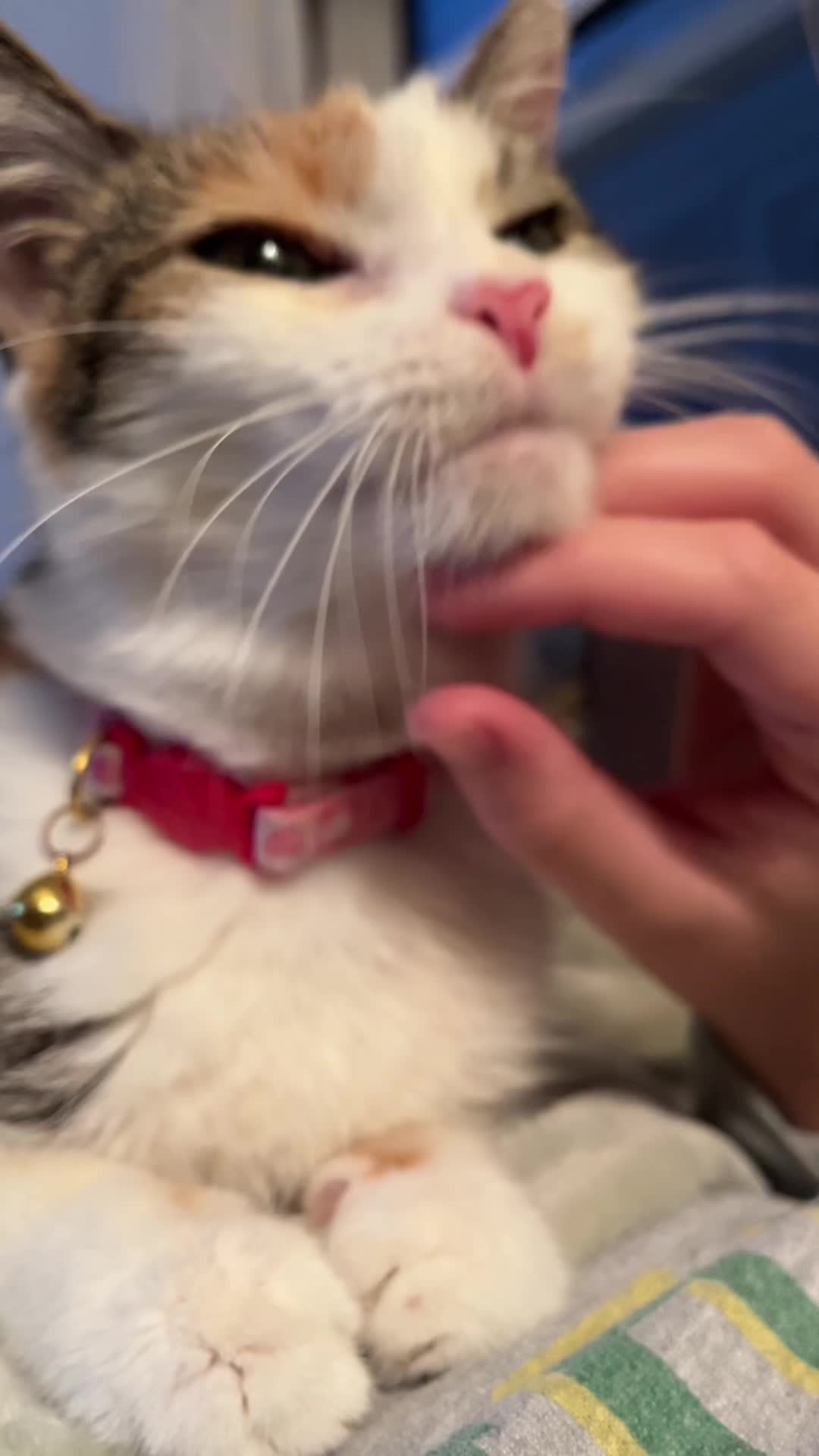 @pennyloafersmom