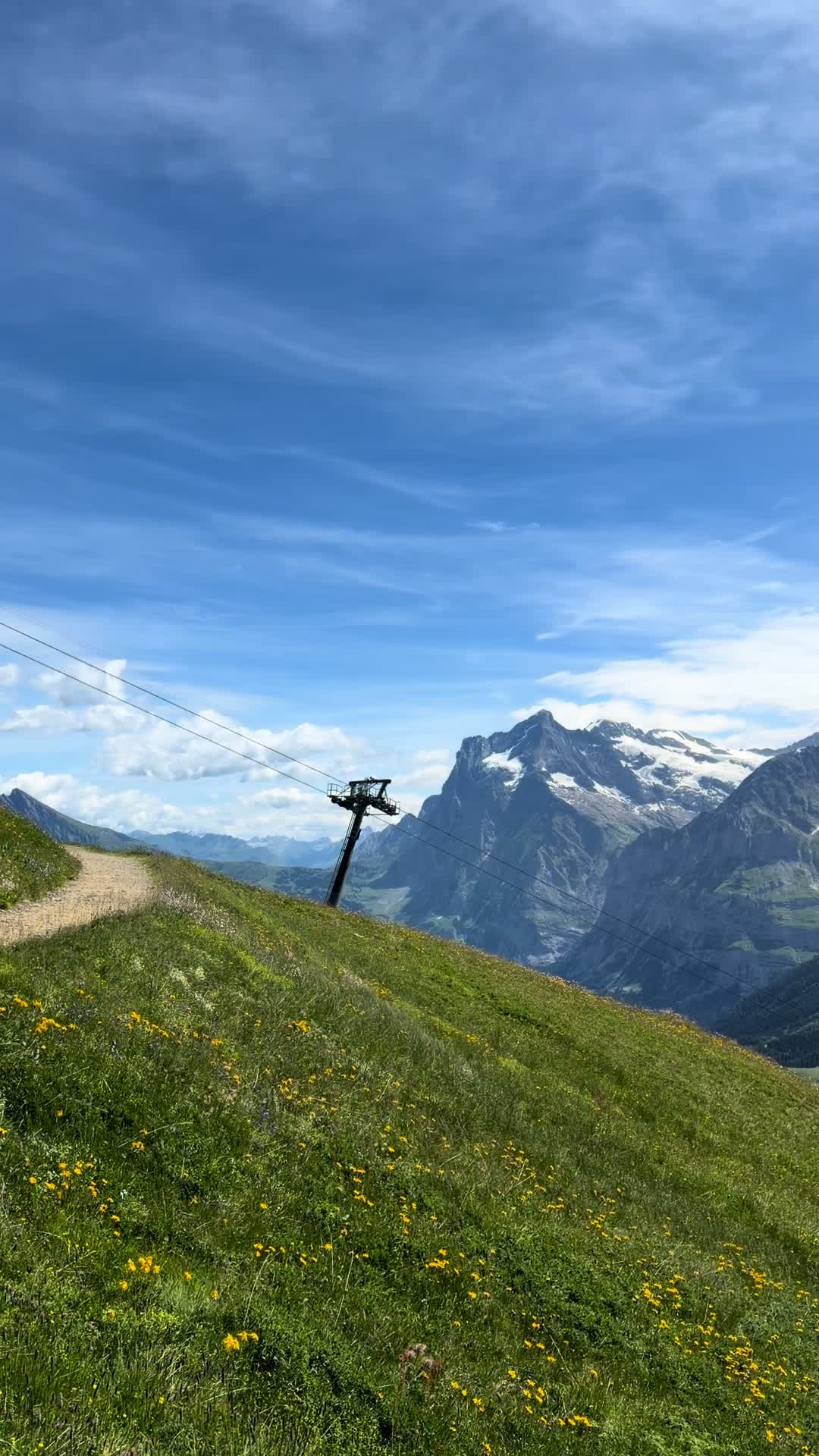 @Lauren