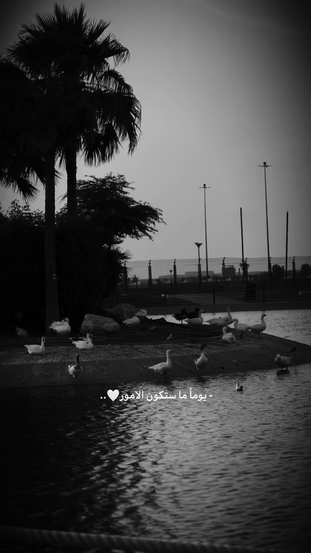@الـشـيخــة