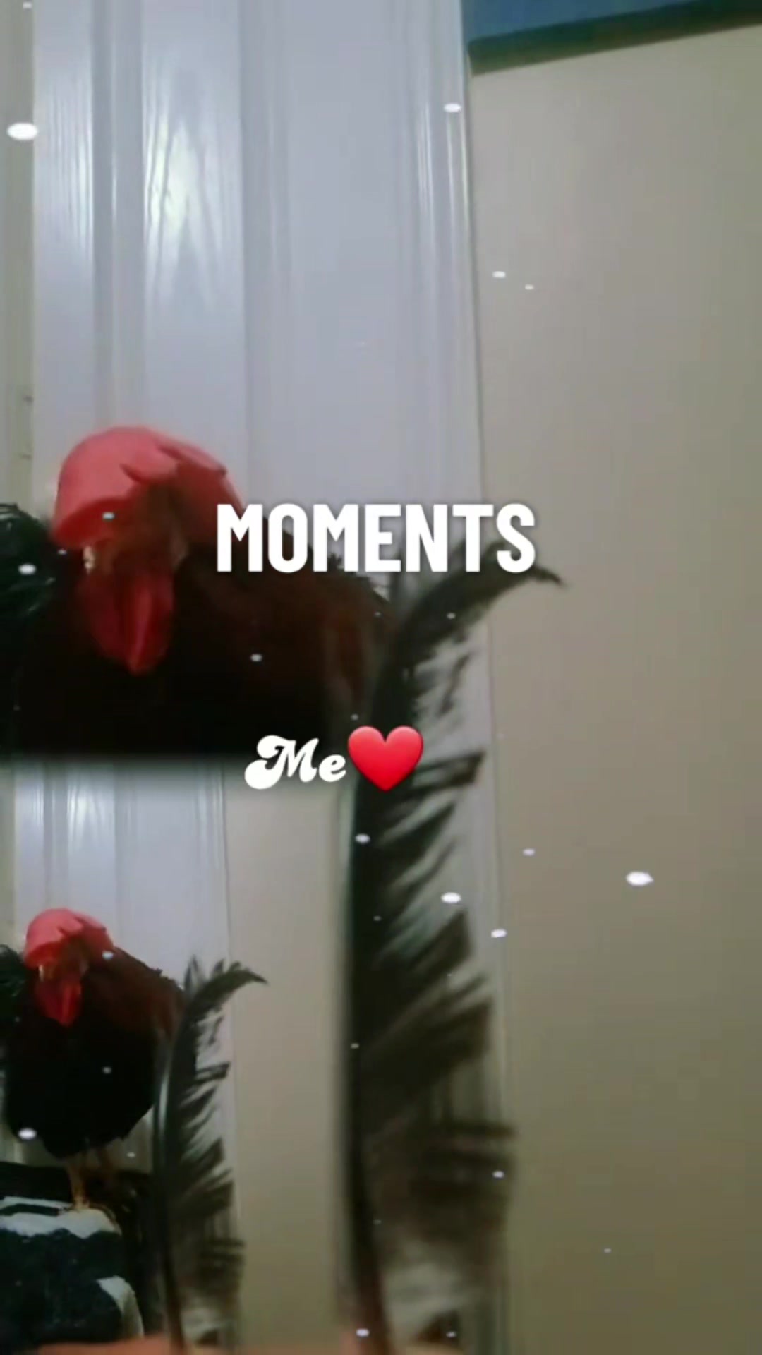 @chi_kii20