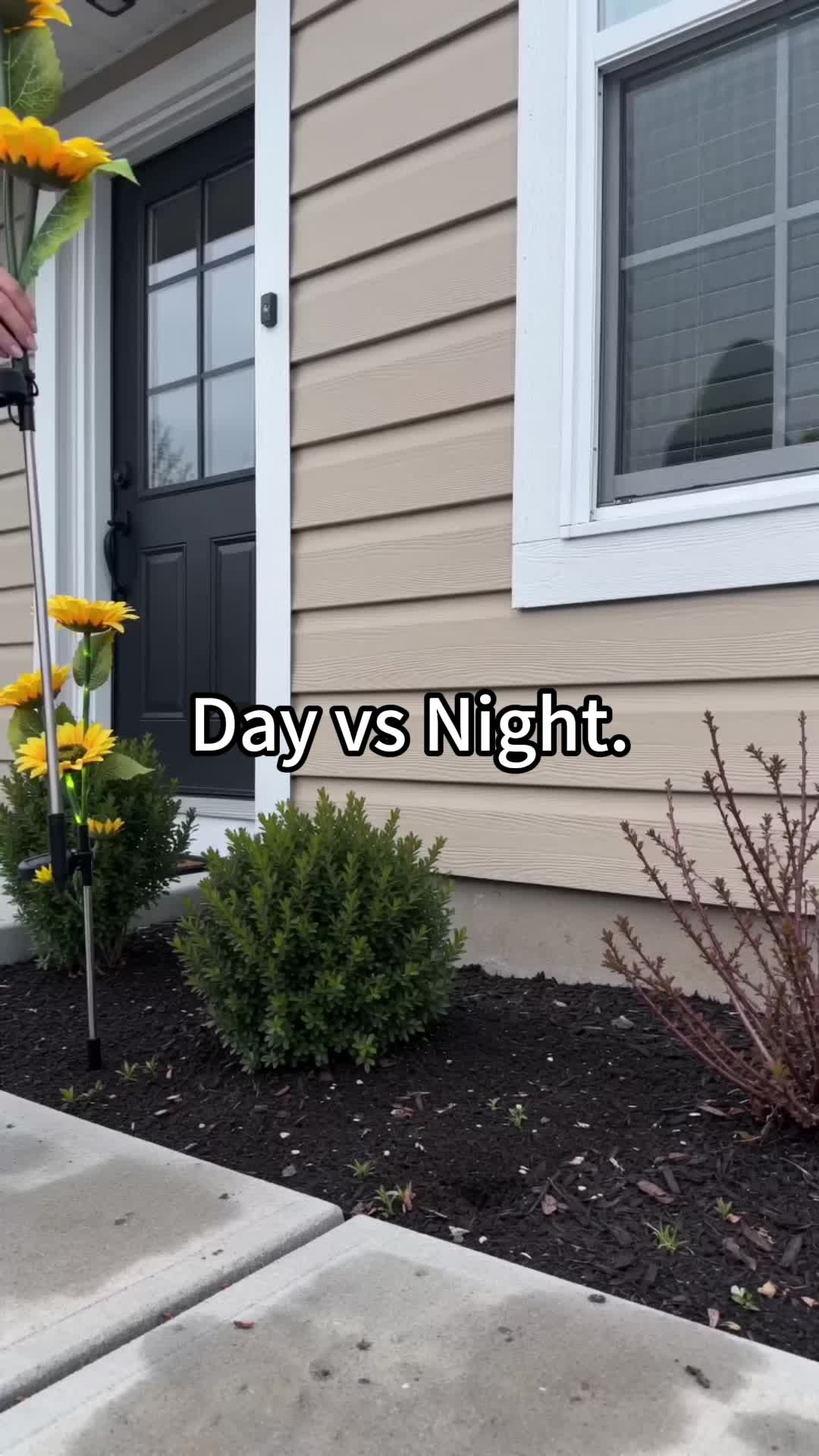 @Audrey
