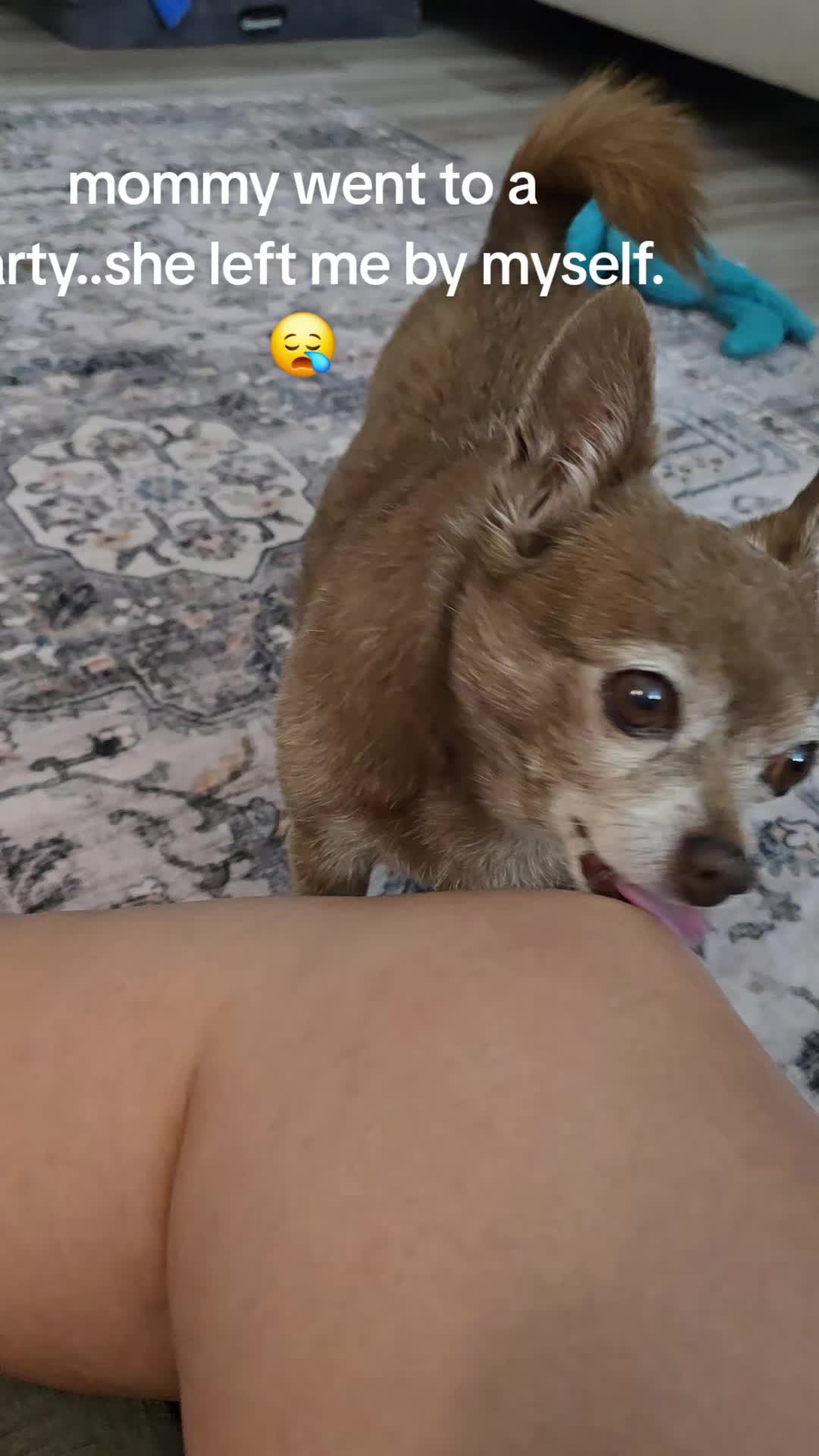 @peanut l palomares
