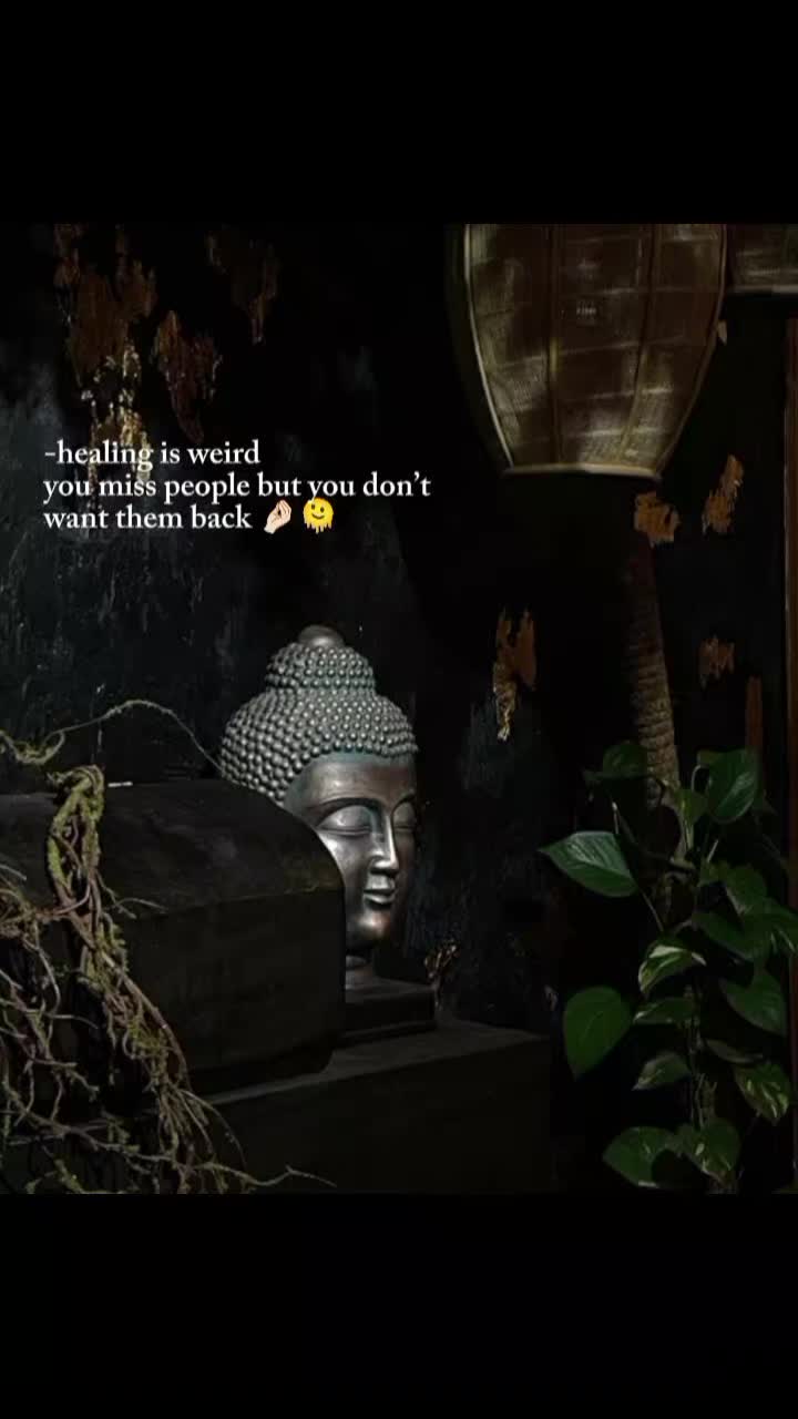 @shamzakhurram20
