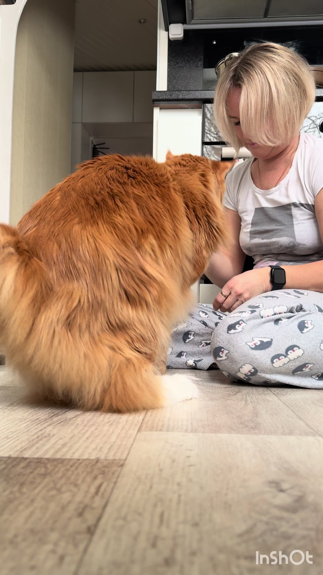 @Veronikabelka