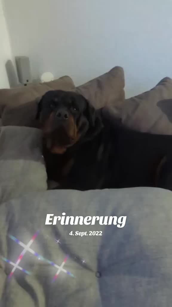 @Nicole❤️Schröder🖤Kowalski ❤️