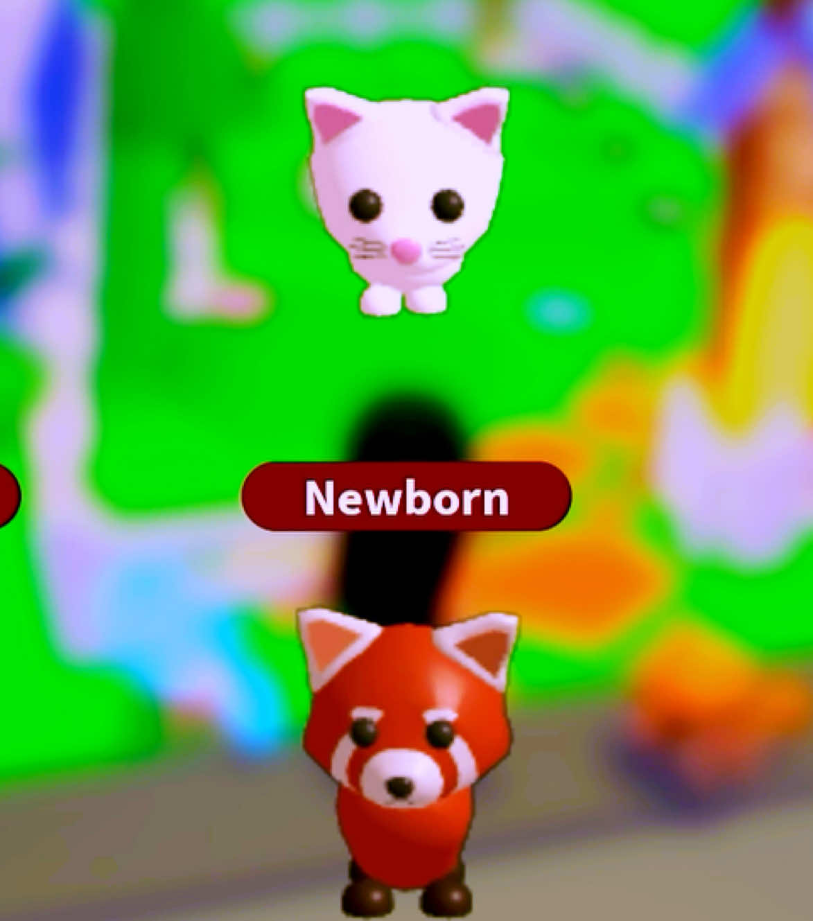 @newfiebaby 👧 Gamer❤️😘