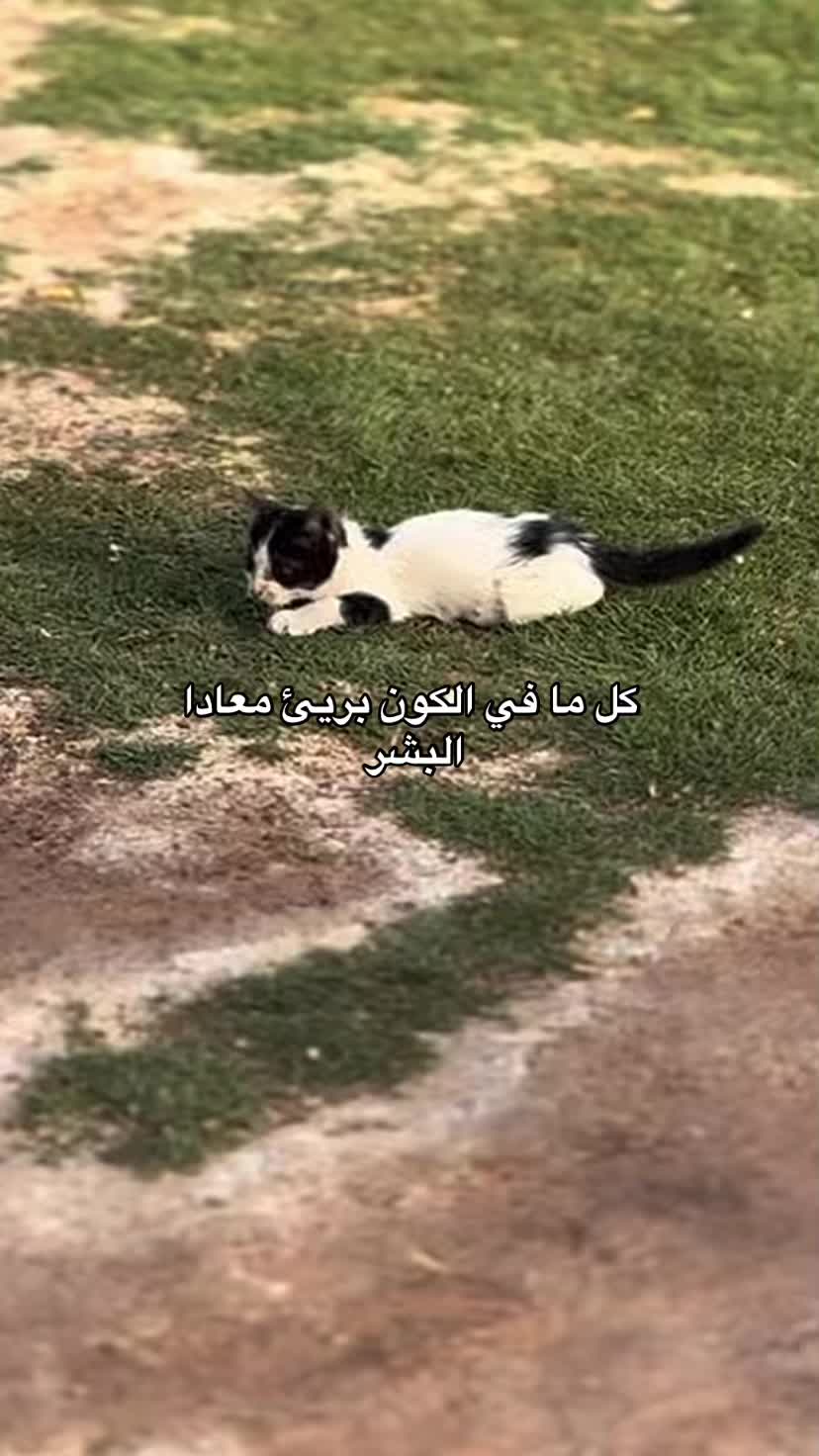 @﮼كيان|١٤٢٥ 🇱🇾🇸🇦.