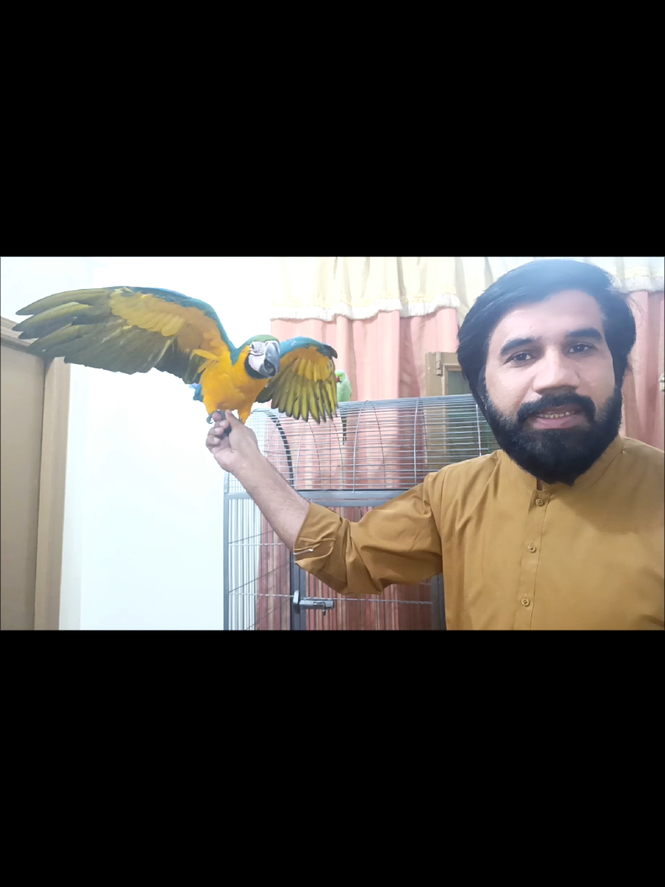 @Mehtab's Pet