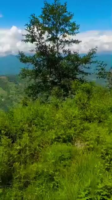 @🇳🇵🇳🇵अनिल रौतार💎🦋