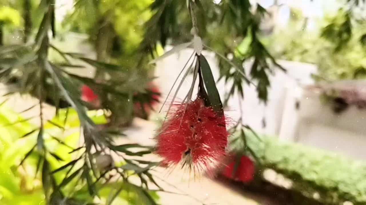 @mr_kamal_19