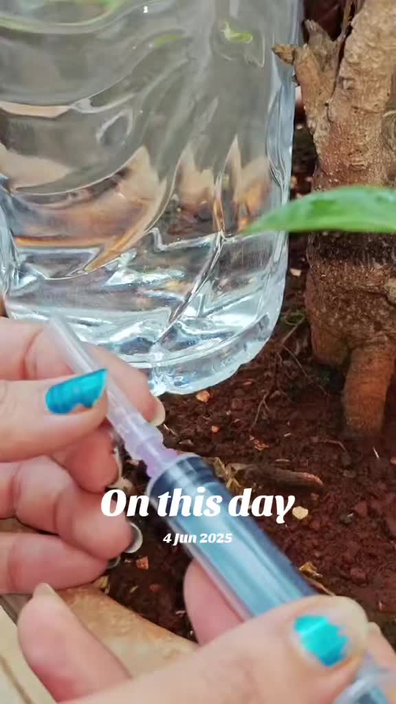 @𝗔𝘆𝗲𝘀𝗵𝗮 🇵🇰