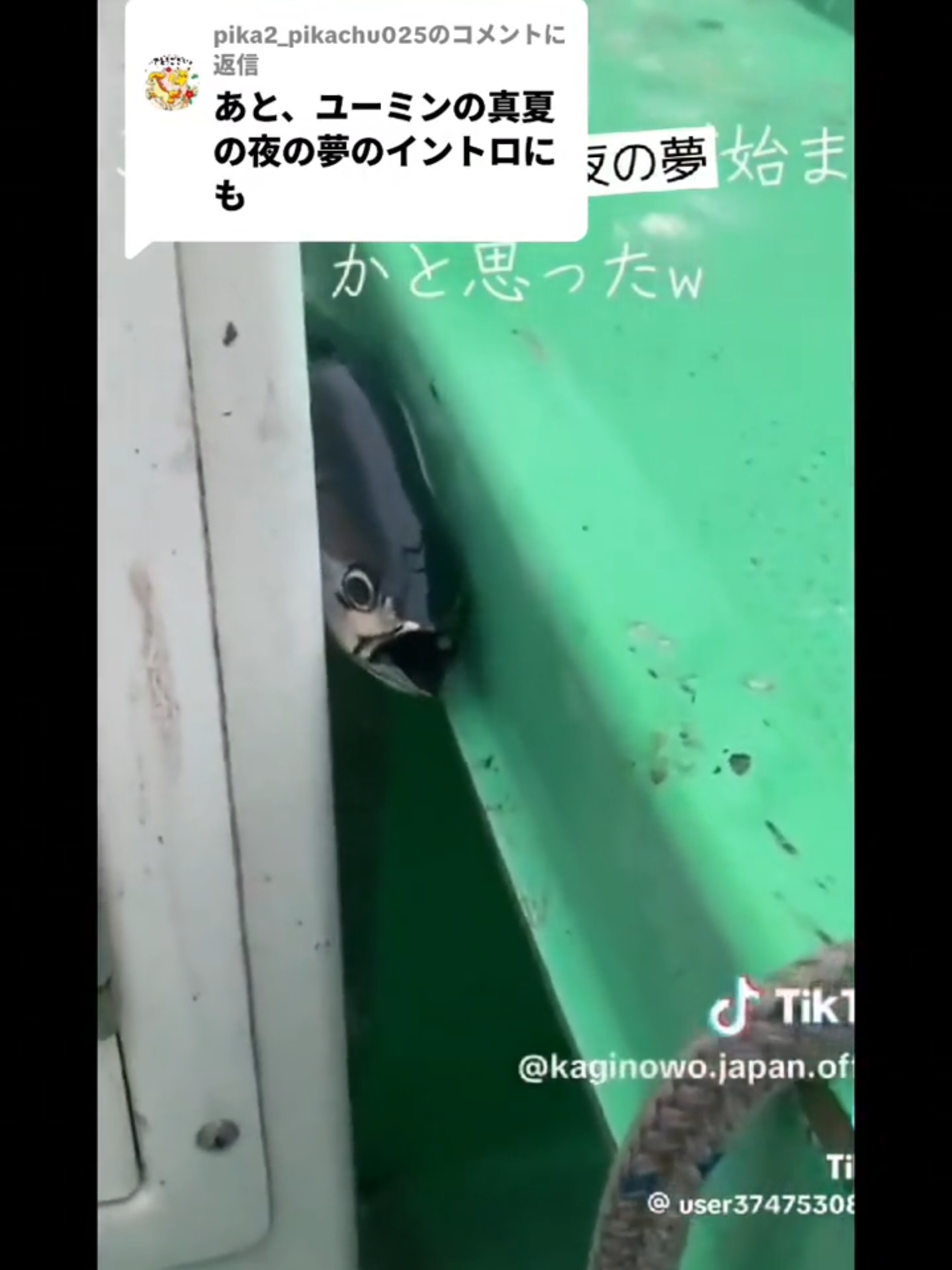 @タピオカ