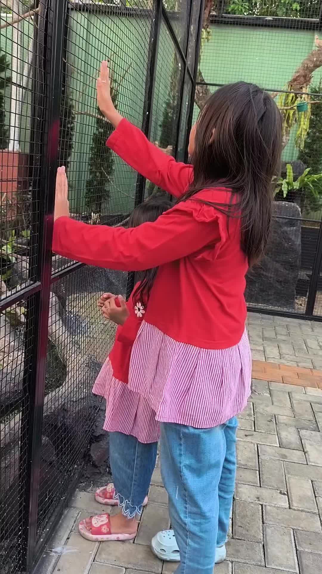 @nasiyaima