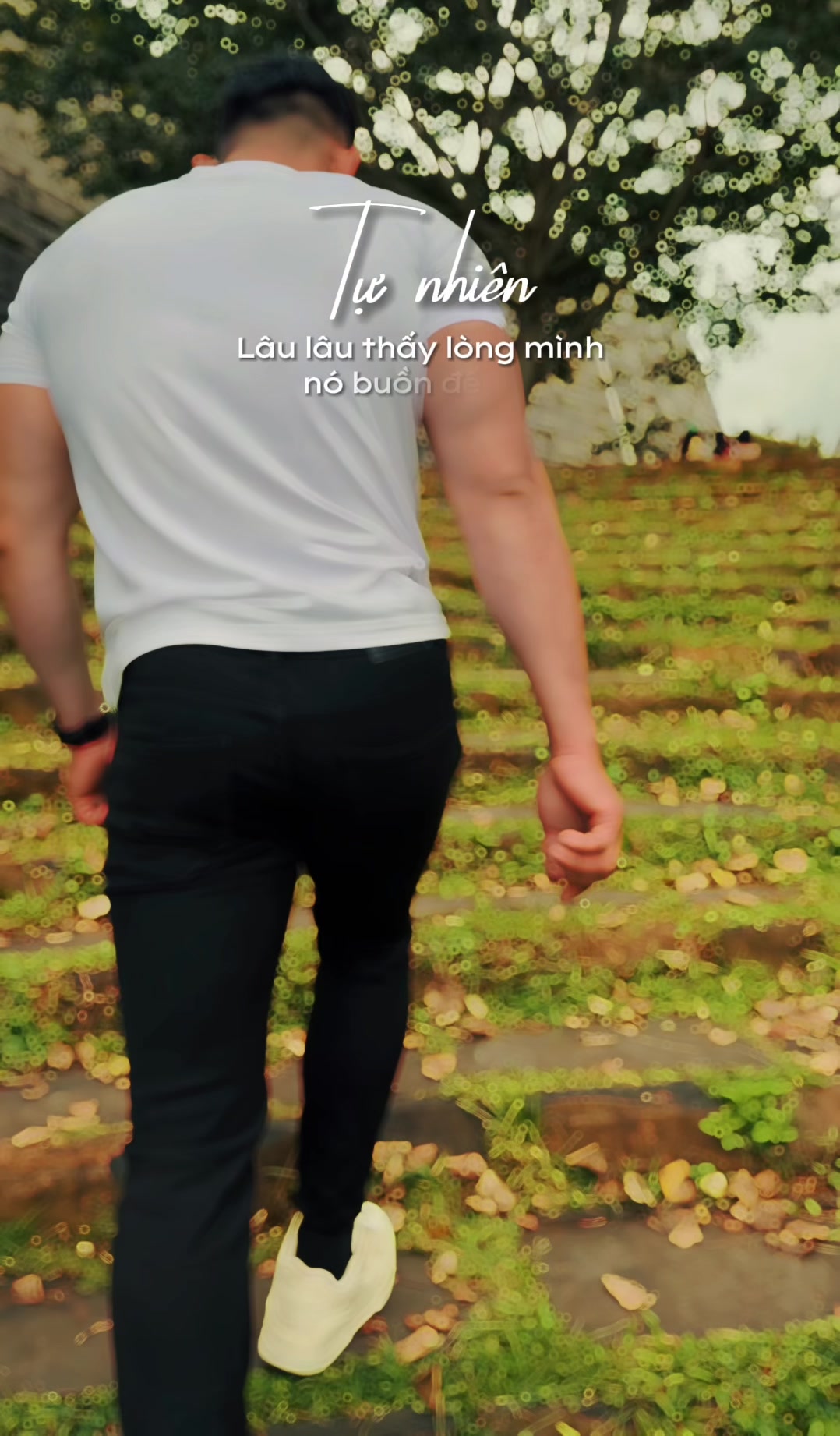 @Jone Trần