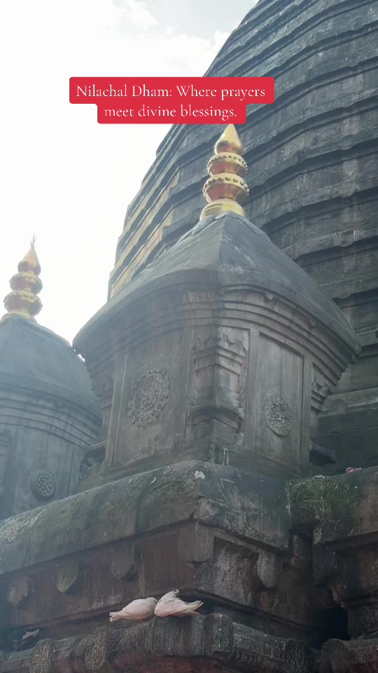 @SUMI๐ | VlogsNepal |๐ณ๐ต