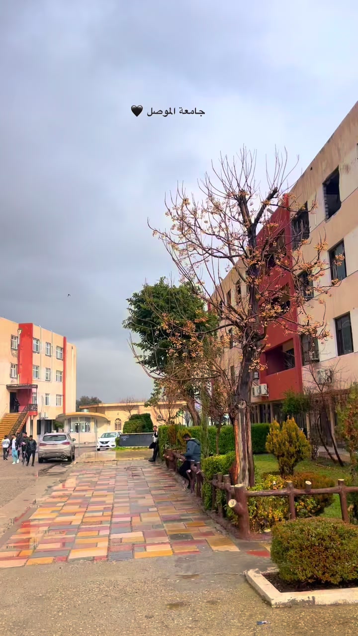 @جامعه الموصل