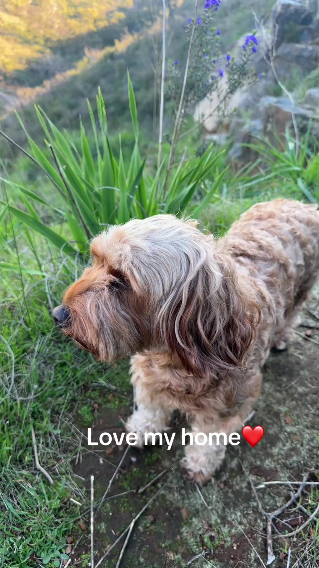 @Teddy the cutie pie