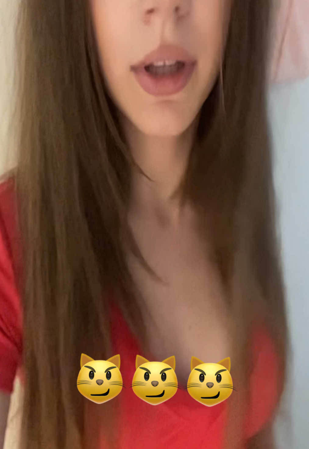 @catohka