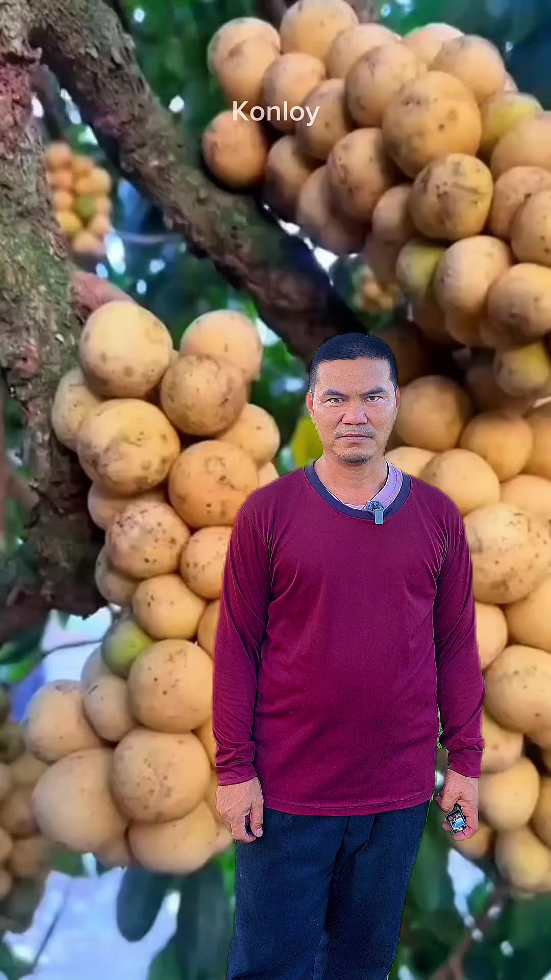 @Konloy