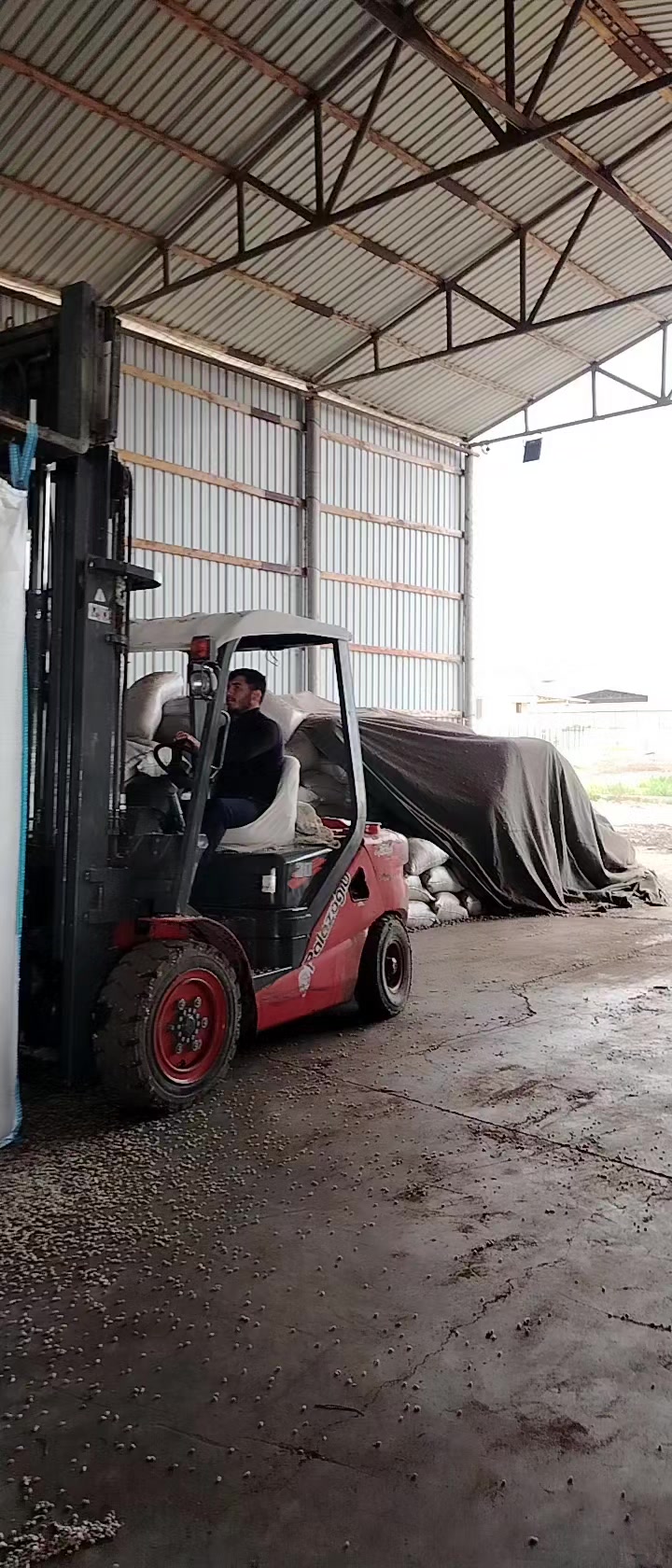@F.Ə.T.Ə.L.İ.Y.E.V