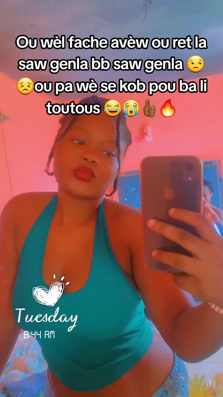 @schnaidi