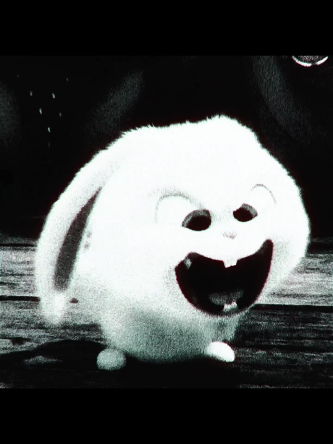 @𝑺𝑻𝑬𝑽_𝑬𝑫𝑰𝑻