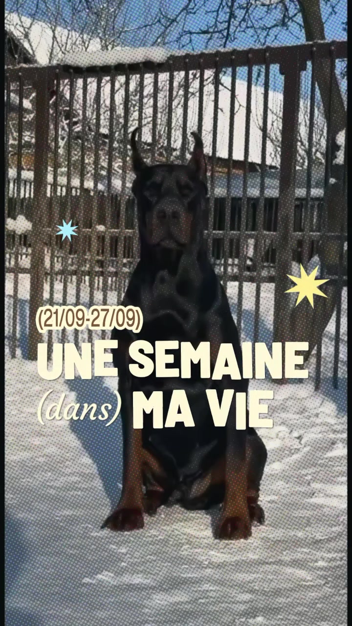 @Anonymouschienworld