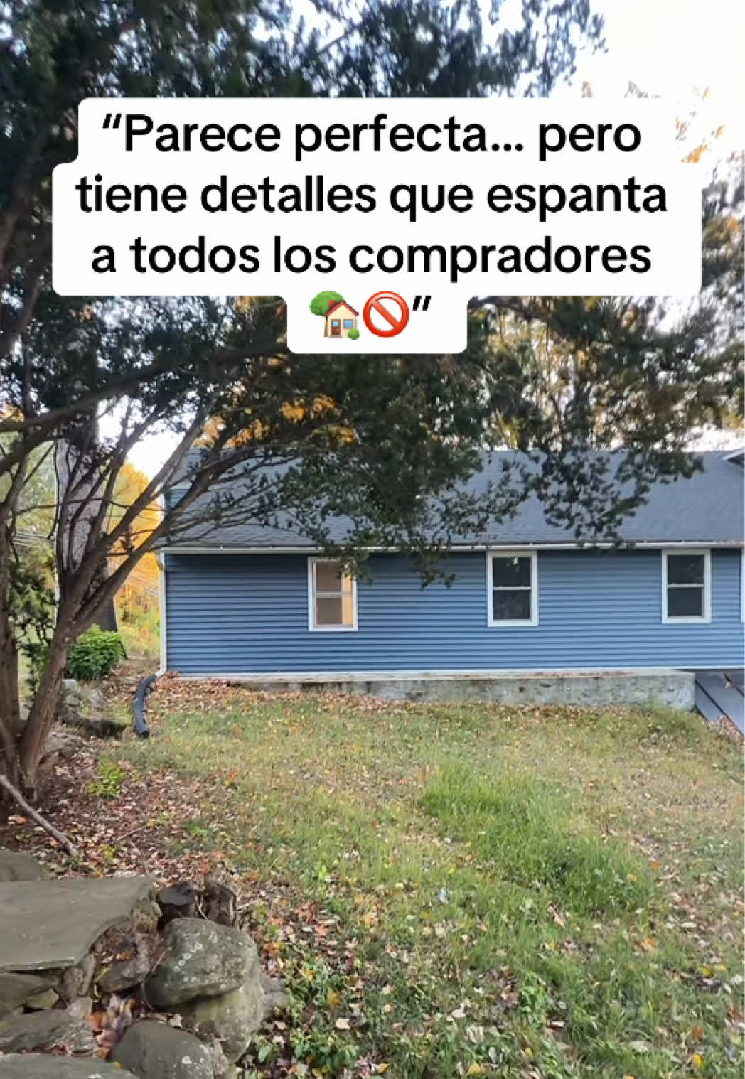 @Dio Espinal