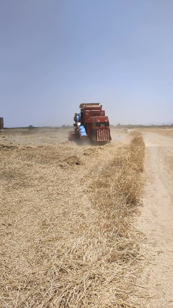 @chak chabani 🇮🇹⚓💰شكشباني