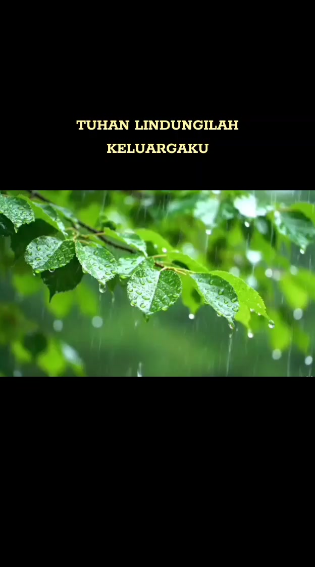 @Bulir Padi