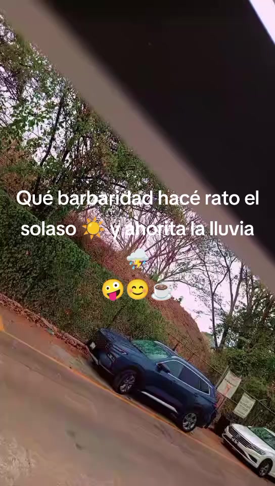 @solsolis1🌻🖤