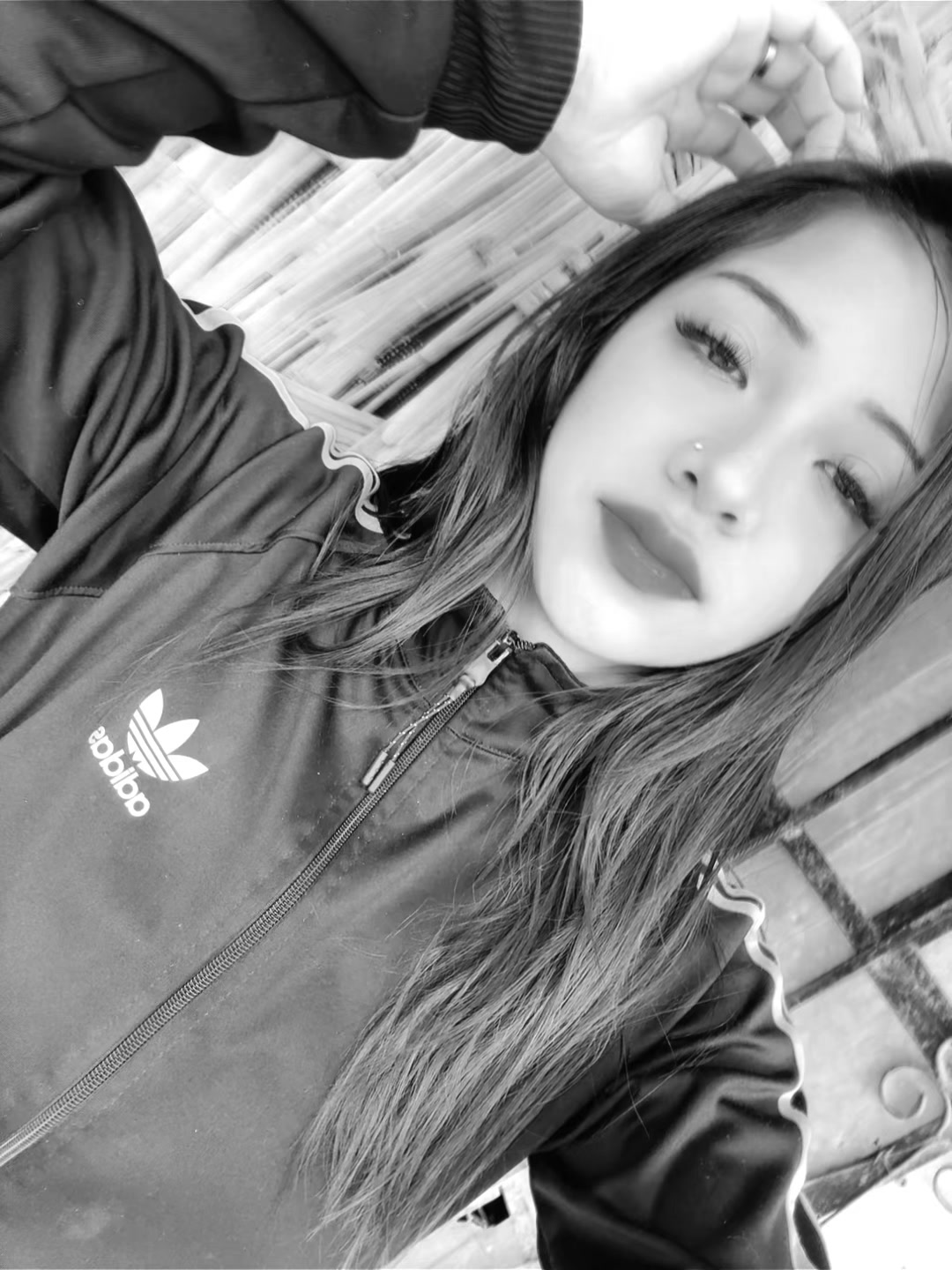 @PALOMINO MARIA FE 
