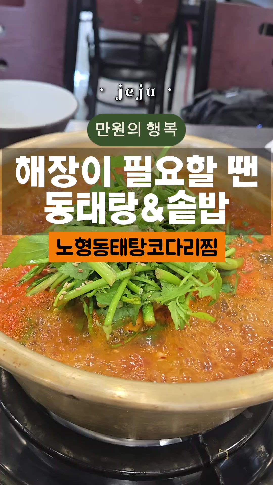 @제주홀릭