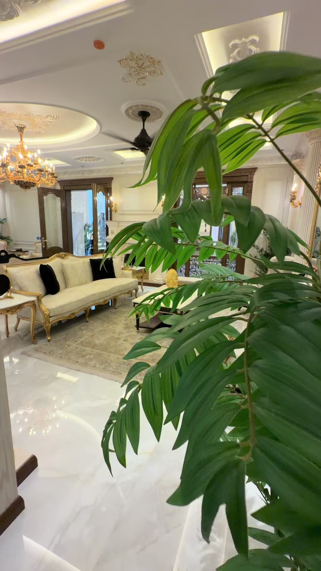 @(GRAND LIVING) USAMA GROUPS”