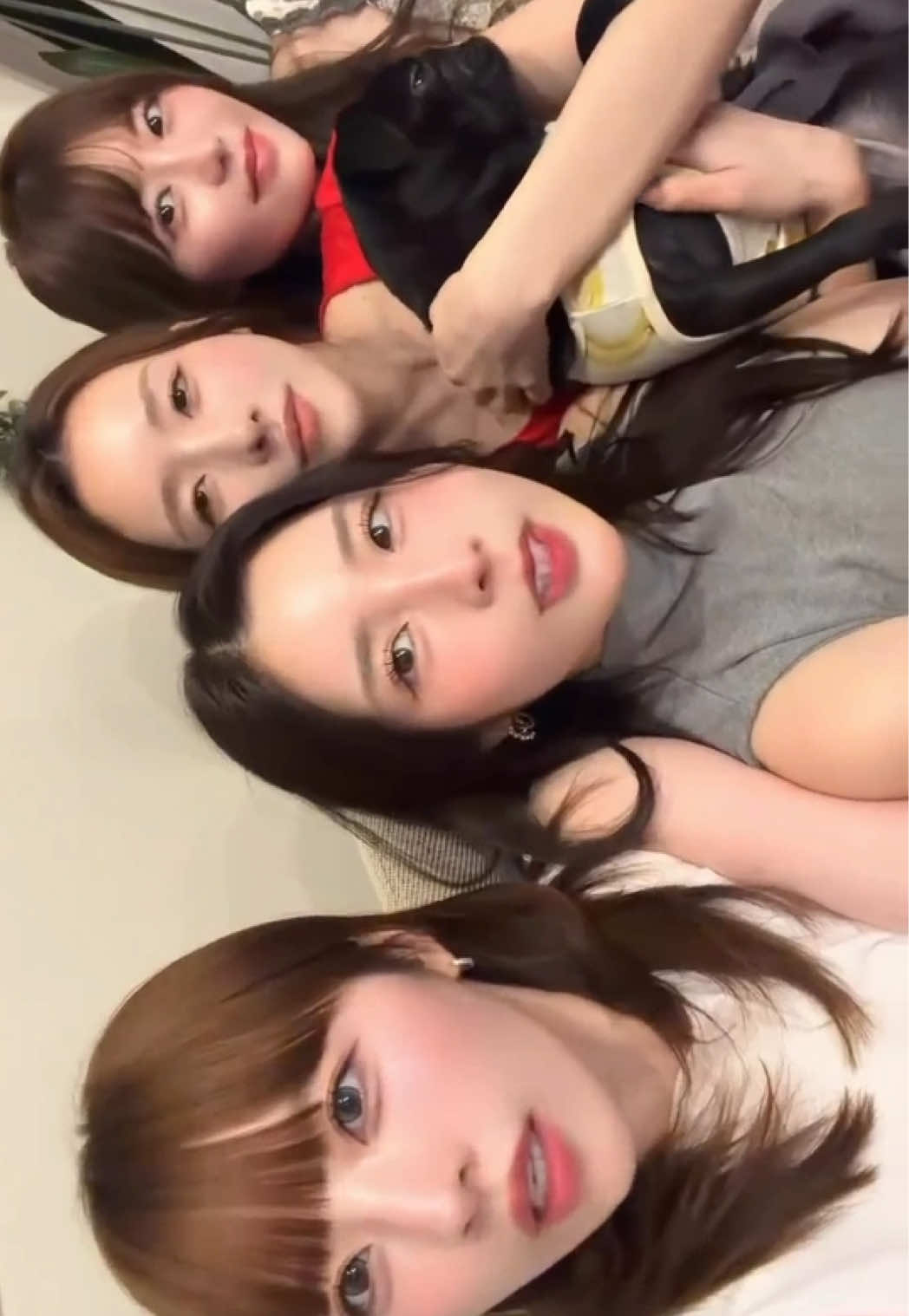 @出禁組