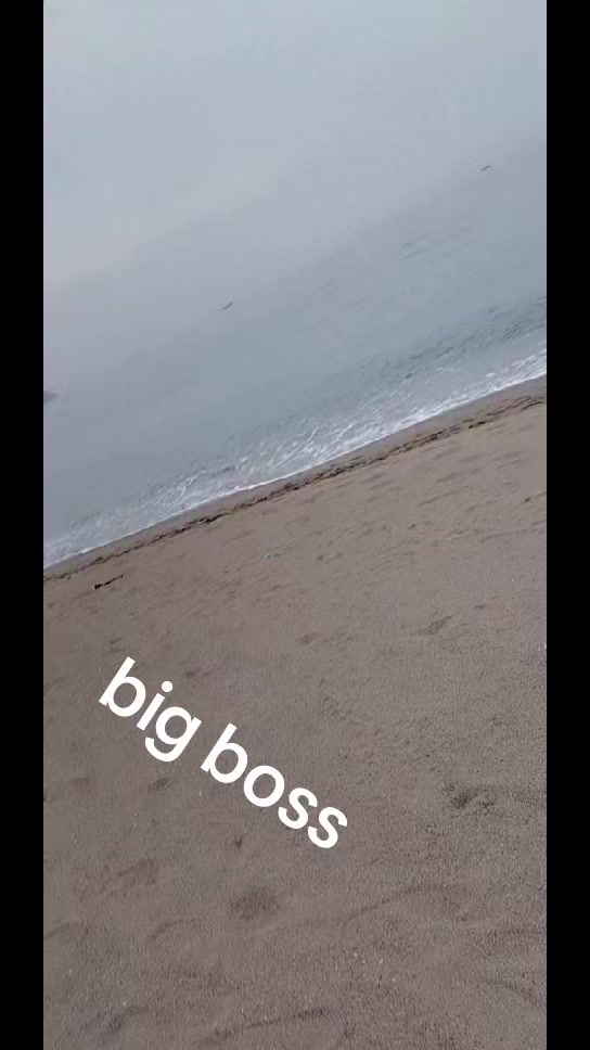 @big boss