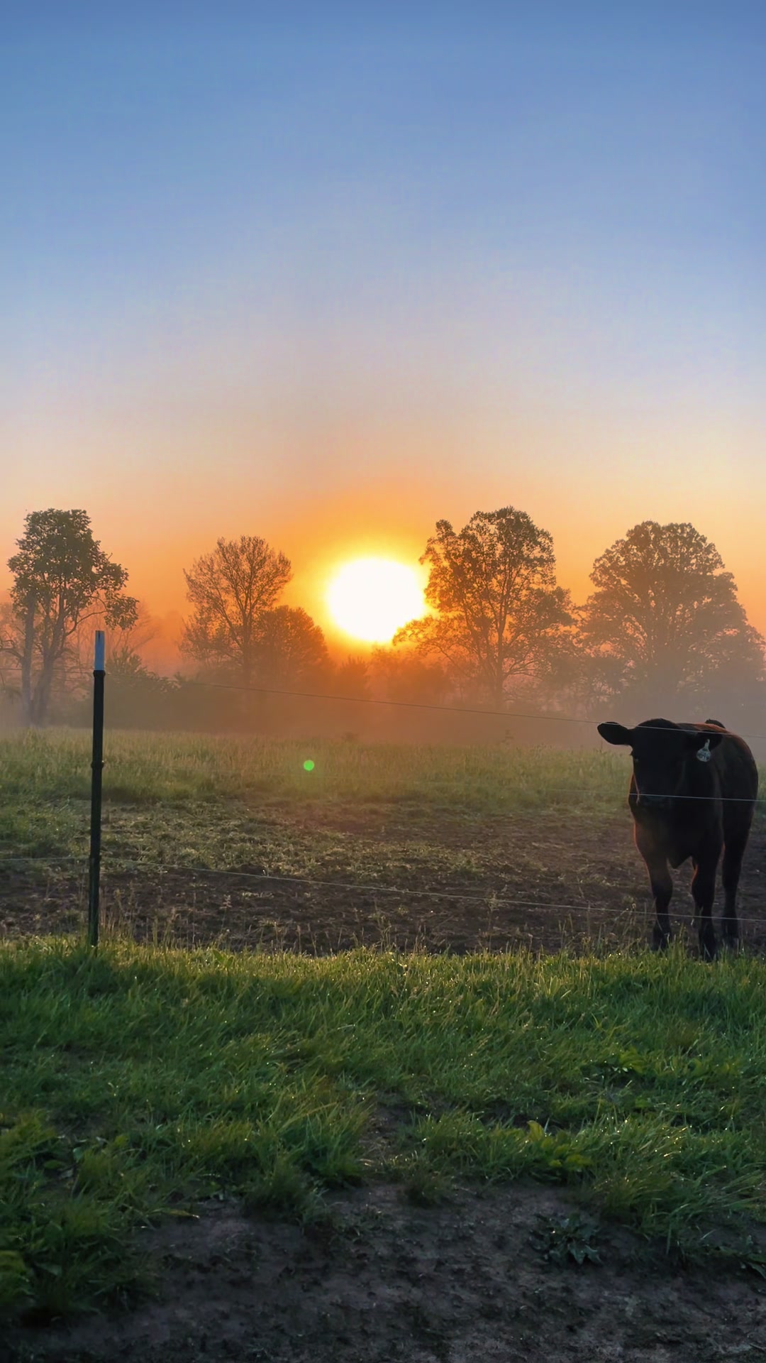 @Sami • LDH Farmstead