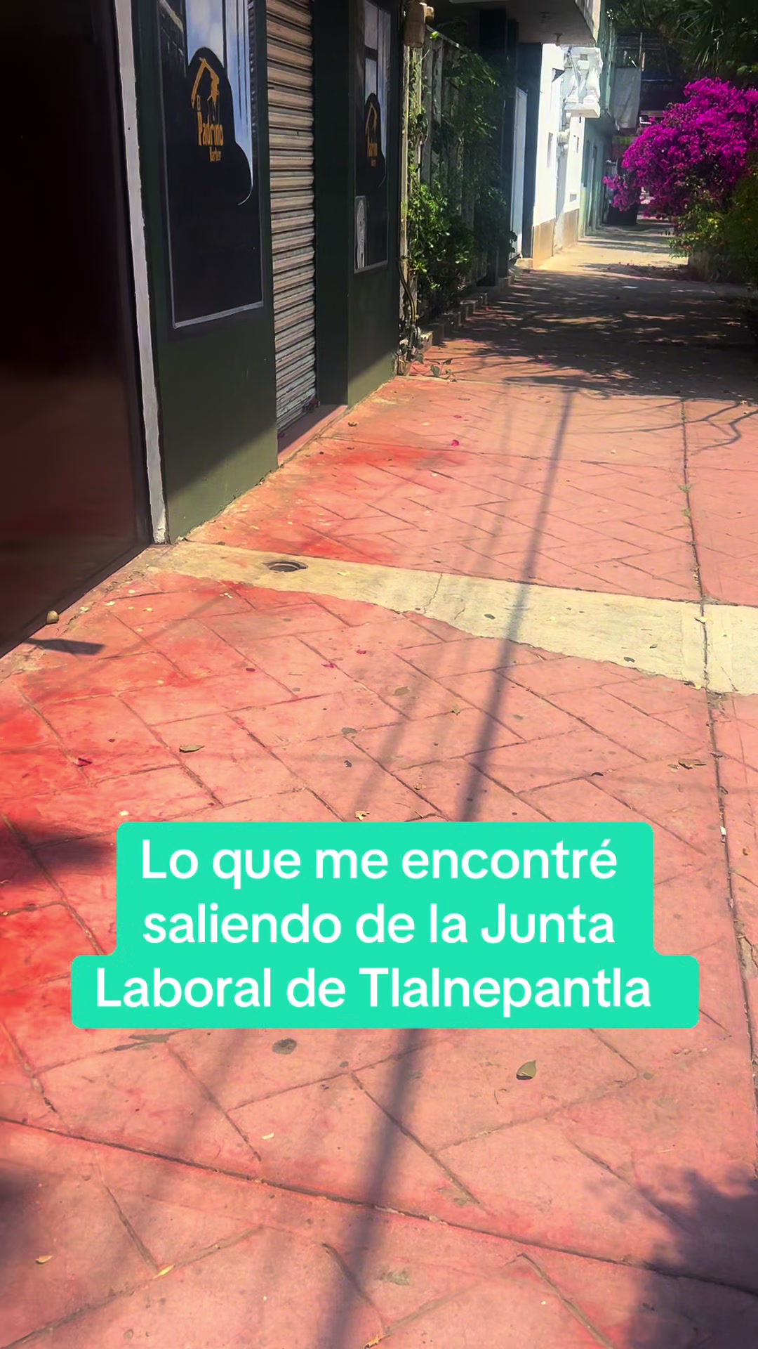 @Lic Liz Terrazas