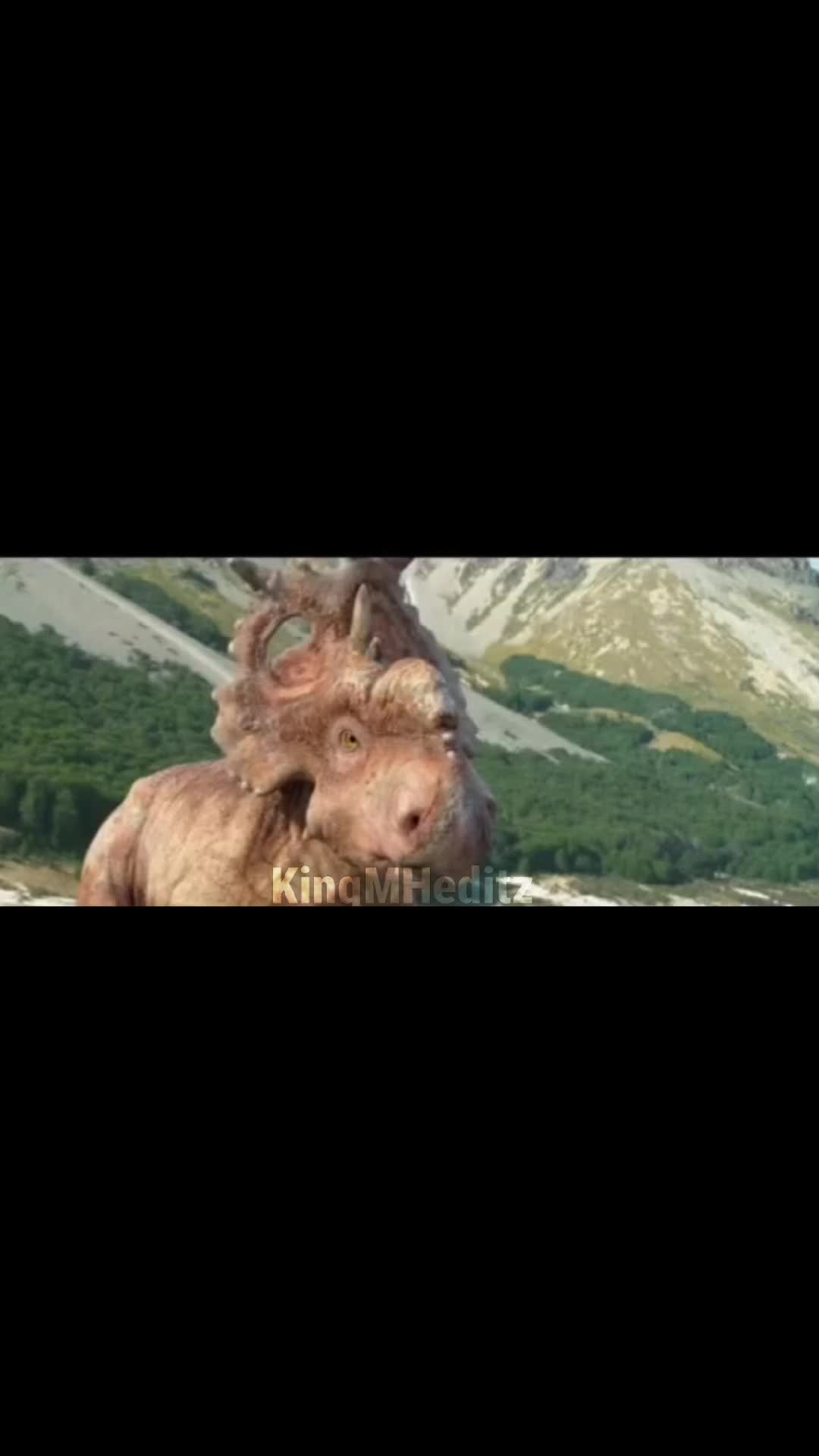 @KingMHeditz