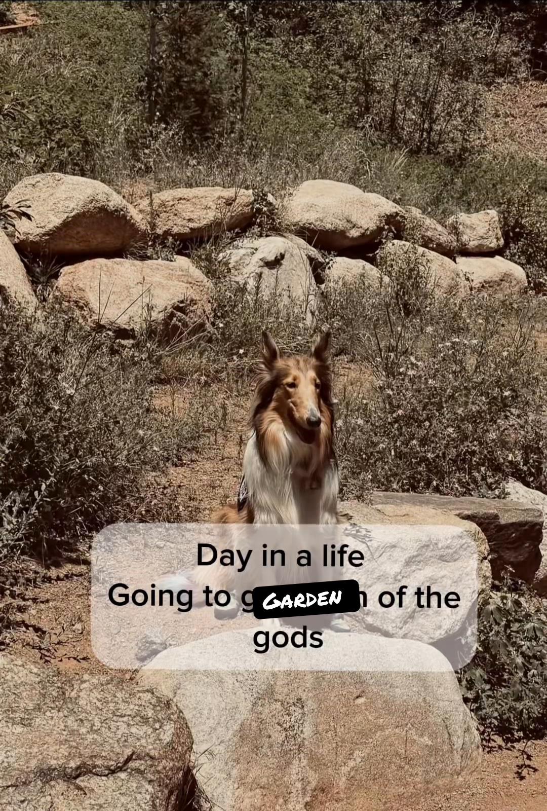 @liz and Alaska